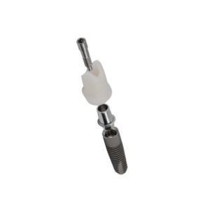 Individuelles Abutment